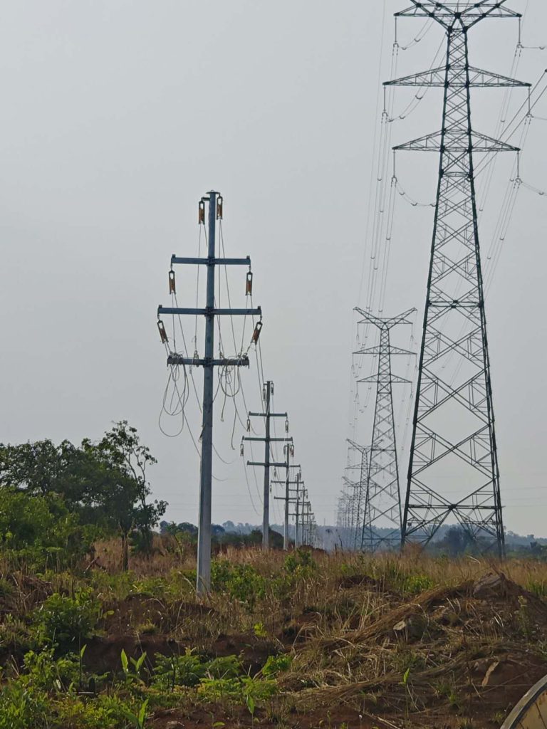 Poteaux électriques installés dans la nature.